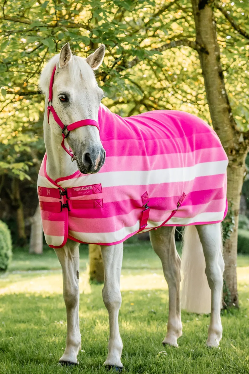 Horseware Hästtäcken & Flughuvor|Horseware-Newmarket Ponny Fleecetäcke Witney Pink