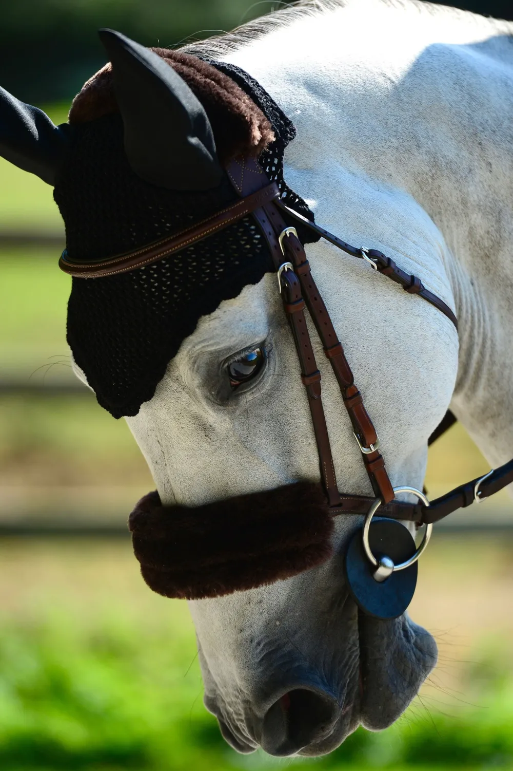 Kentucky Horsewear Träns & Pannband|Kentucky Horsewear-Nosludd Fårskinn Svart
