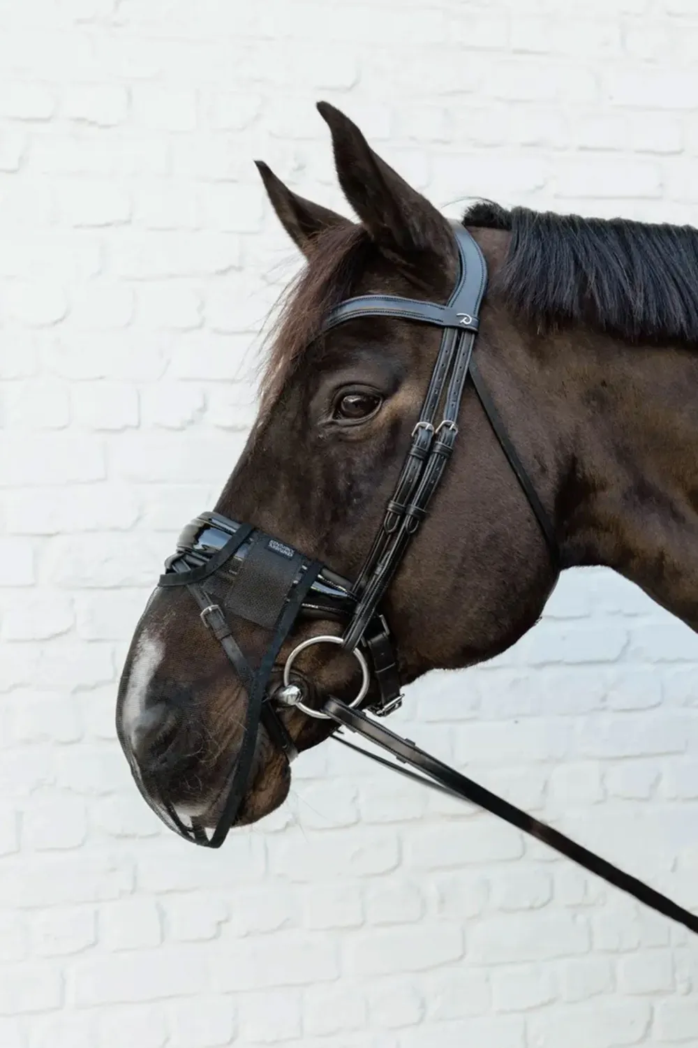 Kentucky Horsewear Kentucky Horsewear|Flugskydd-Nosskydd Svart