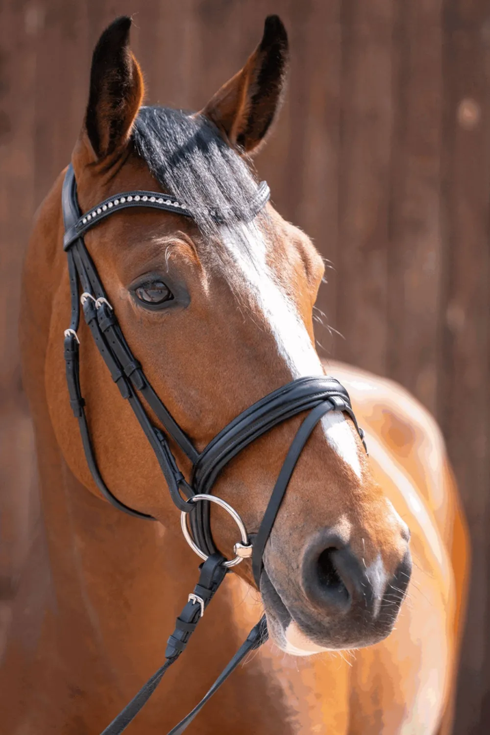 Sprenger Sprenger|Bett & Tillbehör-Novocontact Snaffle 14mm