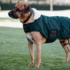 Kentucky Dogwear Kentucky Dogwear-Original Hundtäcke 160g