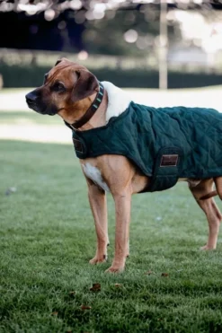 Kentucky Dogwear Kentucky Dogwear-Original Hundtäcke 160g
