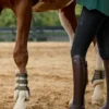 Ariat Ariat|Hoppstövlar-2.0 Palisade Field RS Brun