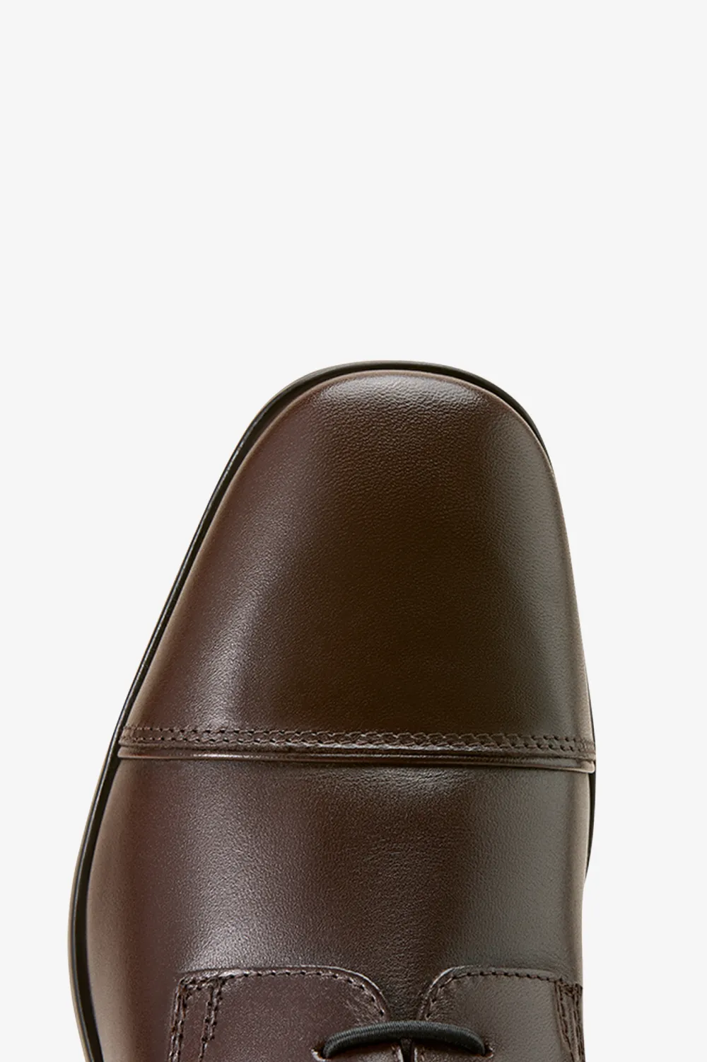 Ariat Ariat|Hoppstövlar-2.0 Palisade Field RS Brun
