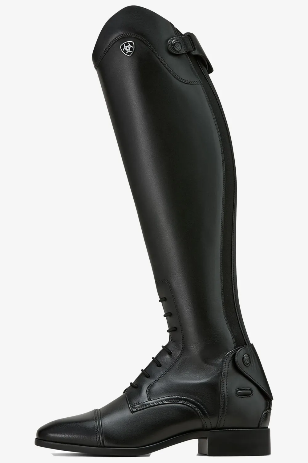 Ariat Ariat|Hoppstövlar-2.0 Palisade Field RT Svart