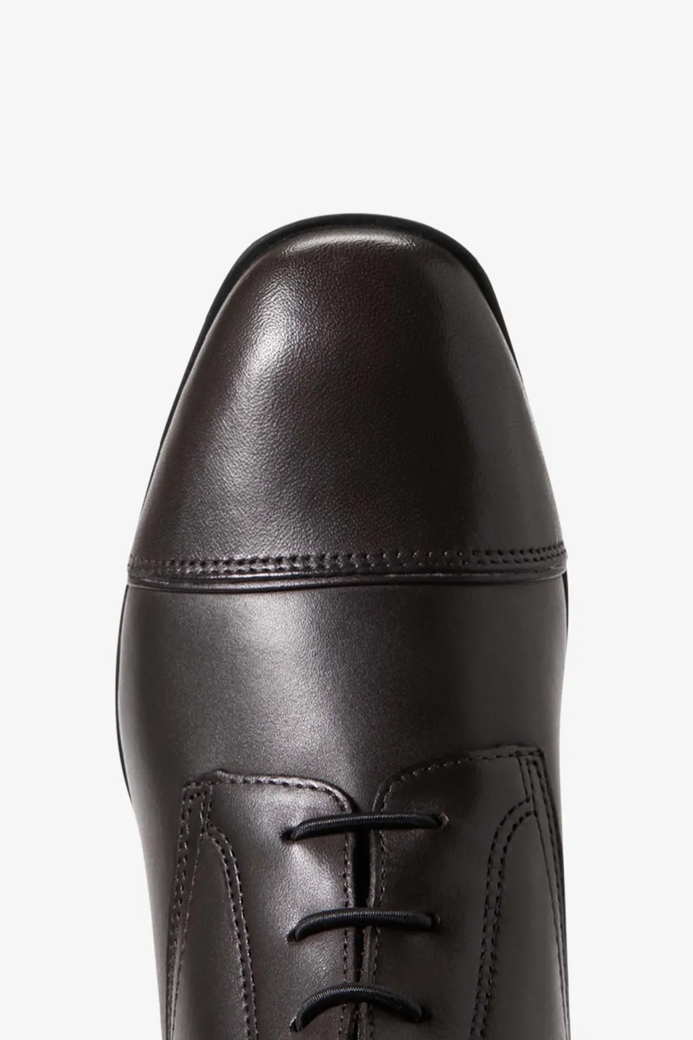 Ariat Ariat-Palisade Ridstövlar Cocoa