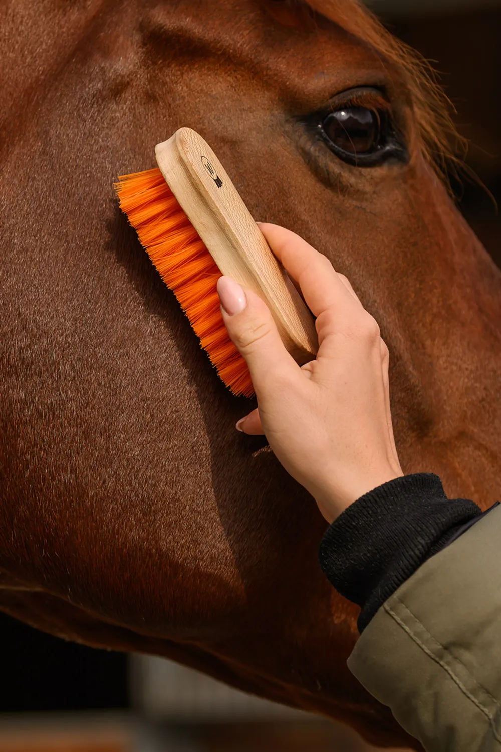 Waldhausen Ryktväskor & Ryktborstar-Pannborste Soft Orange