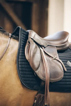 Kentucky Horsewear Schabrak & Huvor-Pearls Allroundschabrak Svart