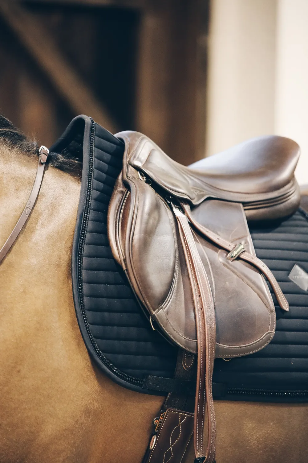 Kentucky Horsewear Schabrak & Huvor-Pearls Allroundschabrak Svart