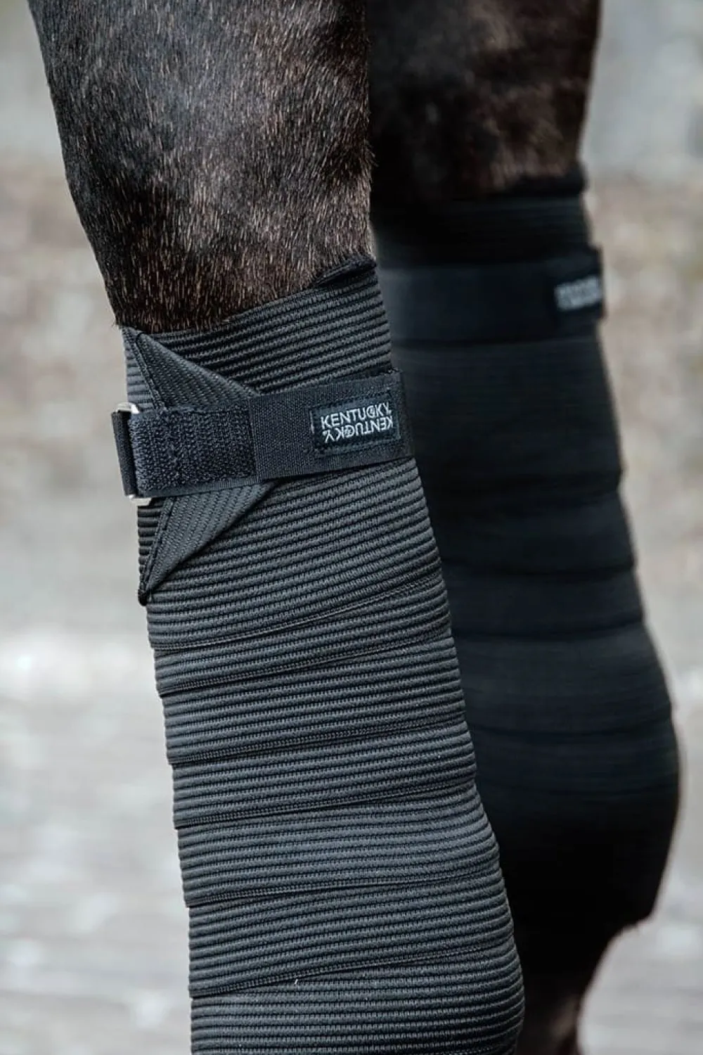 Kentucky Horsewear Kentucky Horsewear|Benskydd & Benlindor-Polar Fleecelindor Elastiska Svart