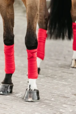 Kentucky Horsewear Kentucky Horsewear|Benskydd & Benlindor-Polar Fleecelindor Velvet Röd