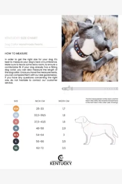 Kentucky Dogwear Kentucky Dogwear-Päror Hundhaband