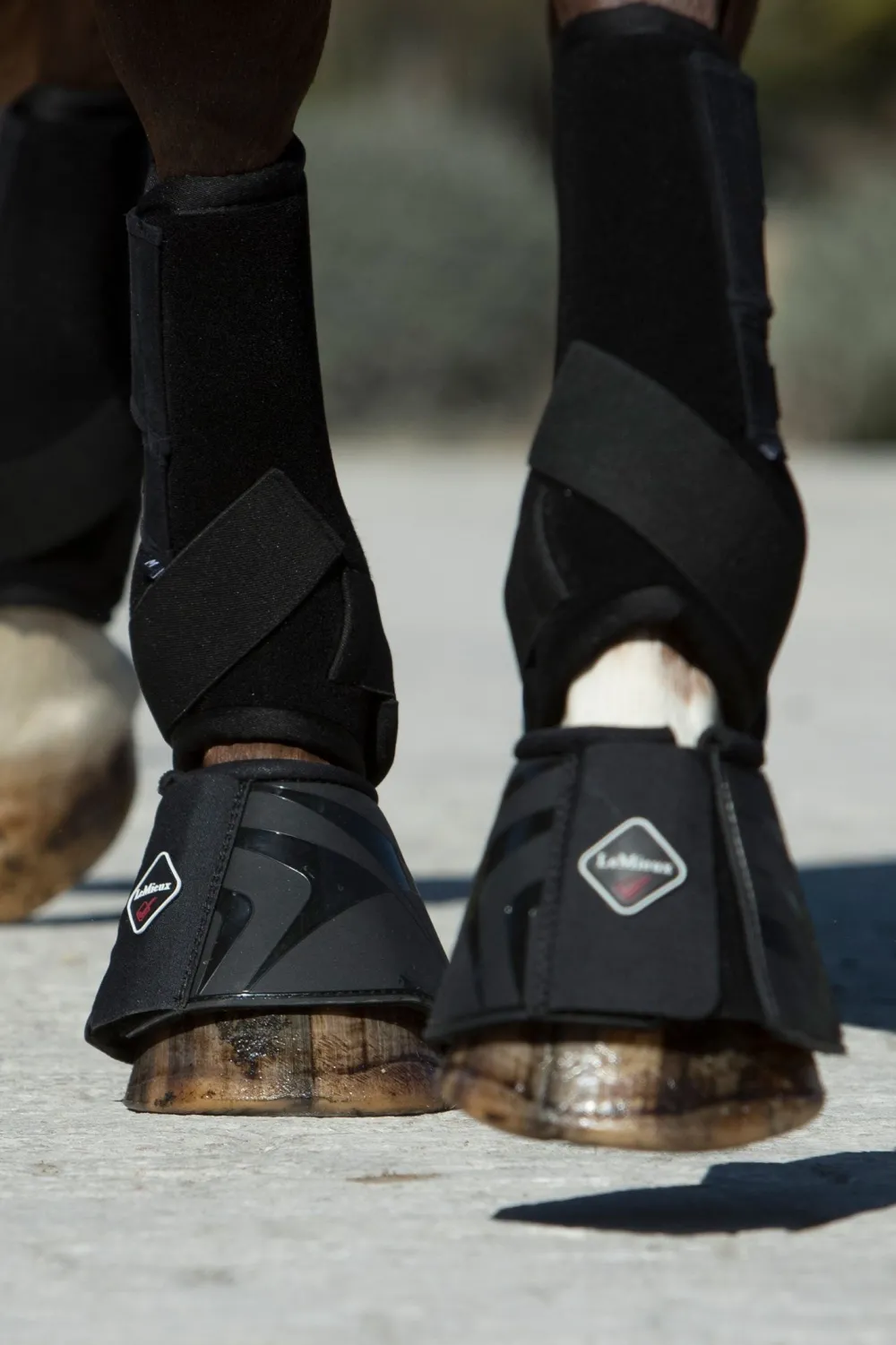 LeMieux Lemieux|Benskydd & Benlindor-Proshe Boots Svart