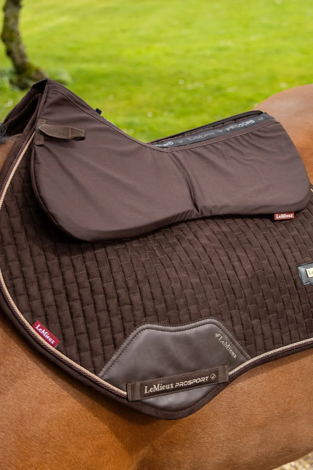 LeMieux Lemieux|Sadlar & Sadelpaddar-ProSorb Pain 2 pocket Haf Pad