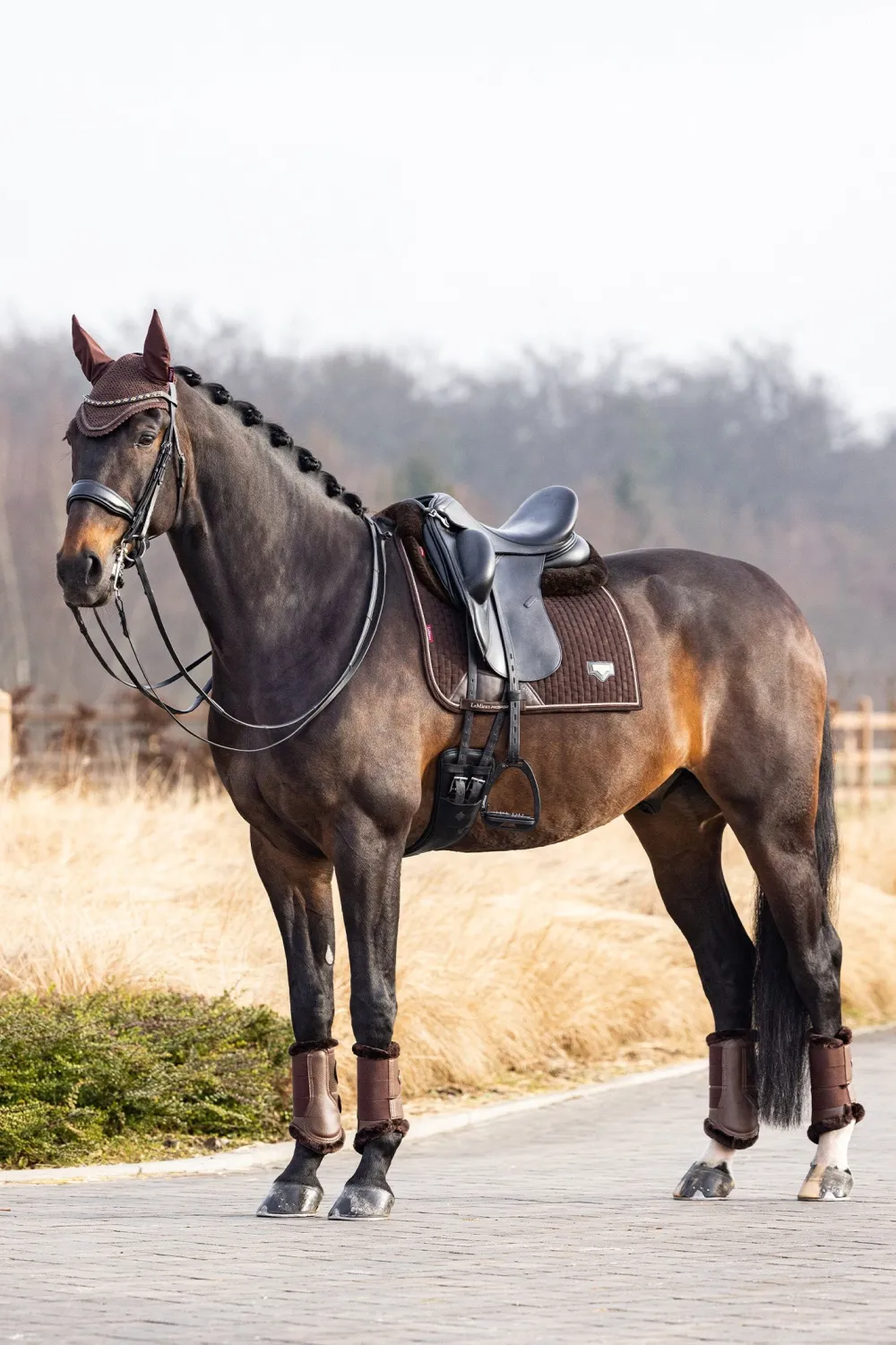 LeMieux Schabrak & Huvor|Lemieux-Puissance Suede Dressyrschabrak brun
