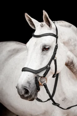 Horseware Träns & Pannband|Horseware-Rambo Micklem 2 Competition Träns