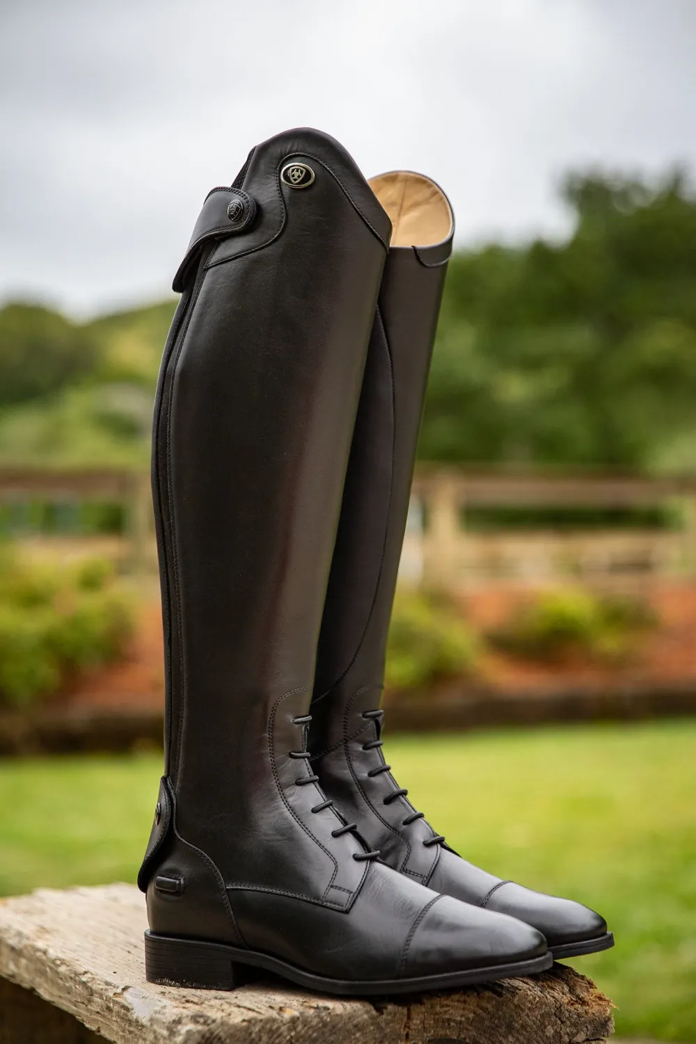 Ariat Ariat-Ravello Ridstövlar RM