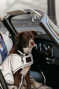 Kentucky Dogwear Kentucky Dogwear-Reflex Hundhalband
