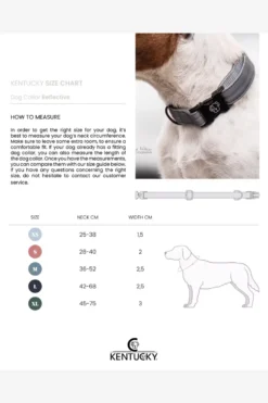 Kentucky Dogwear Kentucky Dogwear-Reflex Hundhalband