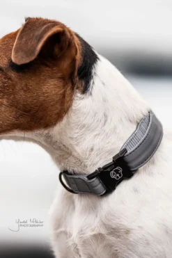 Kentucky Dogwear Kentucky Dogwear-Reflex Hundhalband
