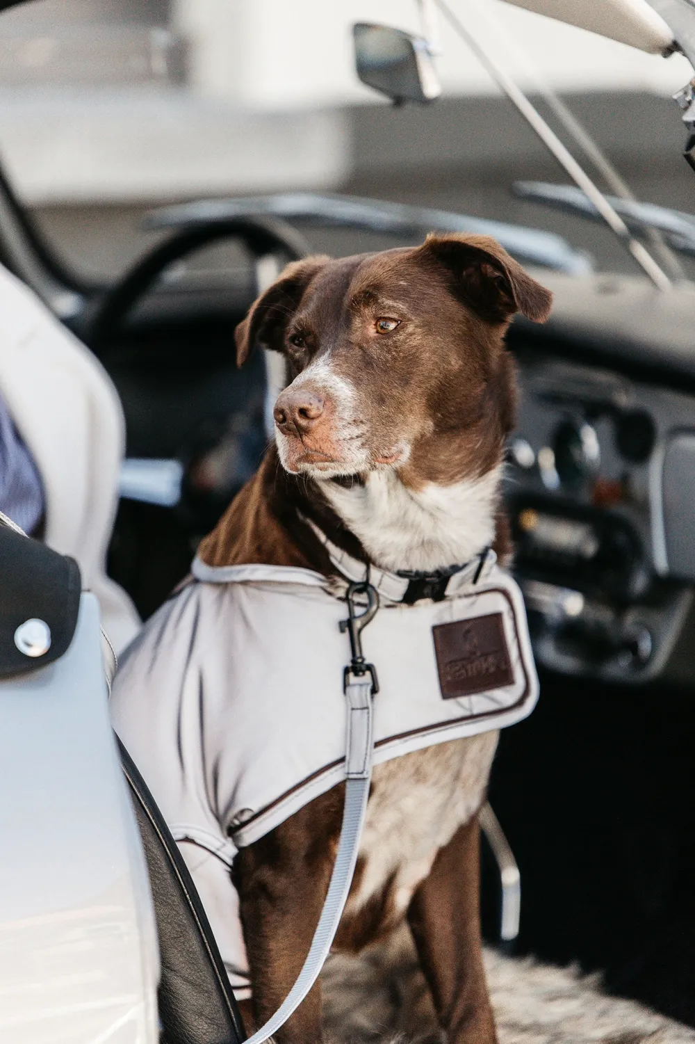 Kentucky Dogwear Kentucky Dogwear-Refex Hundtäcke