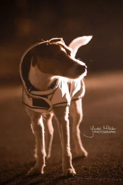 Kentucky Dogwear Kentucky Dogwear-Refex Hundtäcke