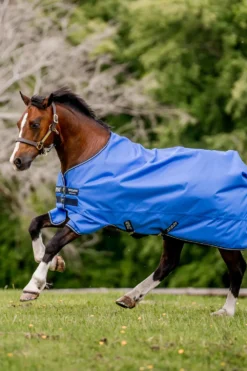 Horseware Hästtäcken & Flughuvor|Horseware-Regntäcke Amigo Hero Ripstop Lite 0g Pony