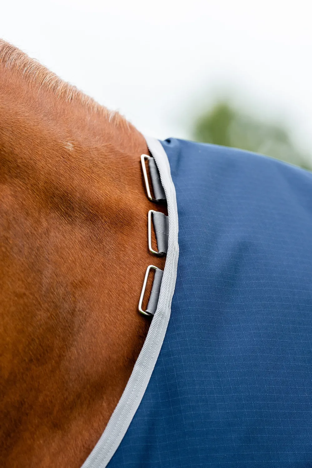 Horseware Horseware|Hästtäcken & Flughuvor-Regntäcke Amigo Ripstop 900D 0g Navy/Grey