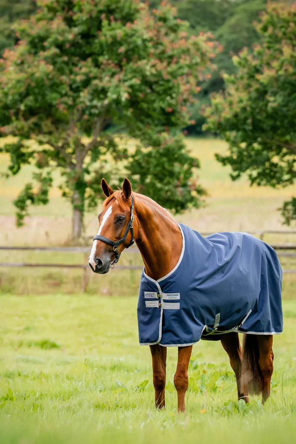 Horseware Horseware|Hästtäcken & Flughuvor-Regntäcke Amigo Ripstop 900D 0g Navy/Grey