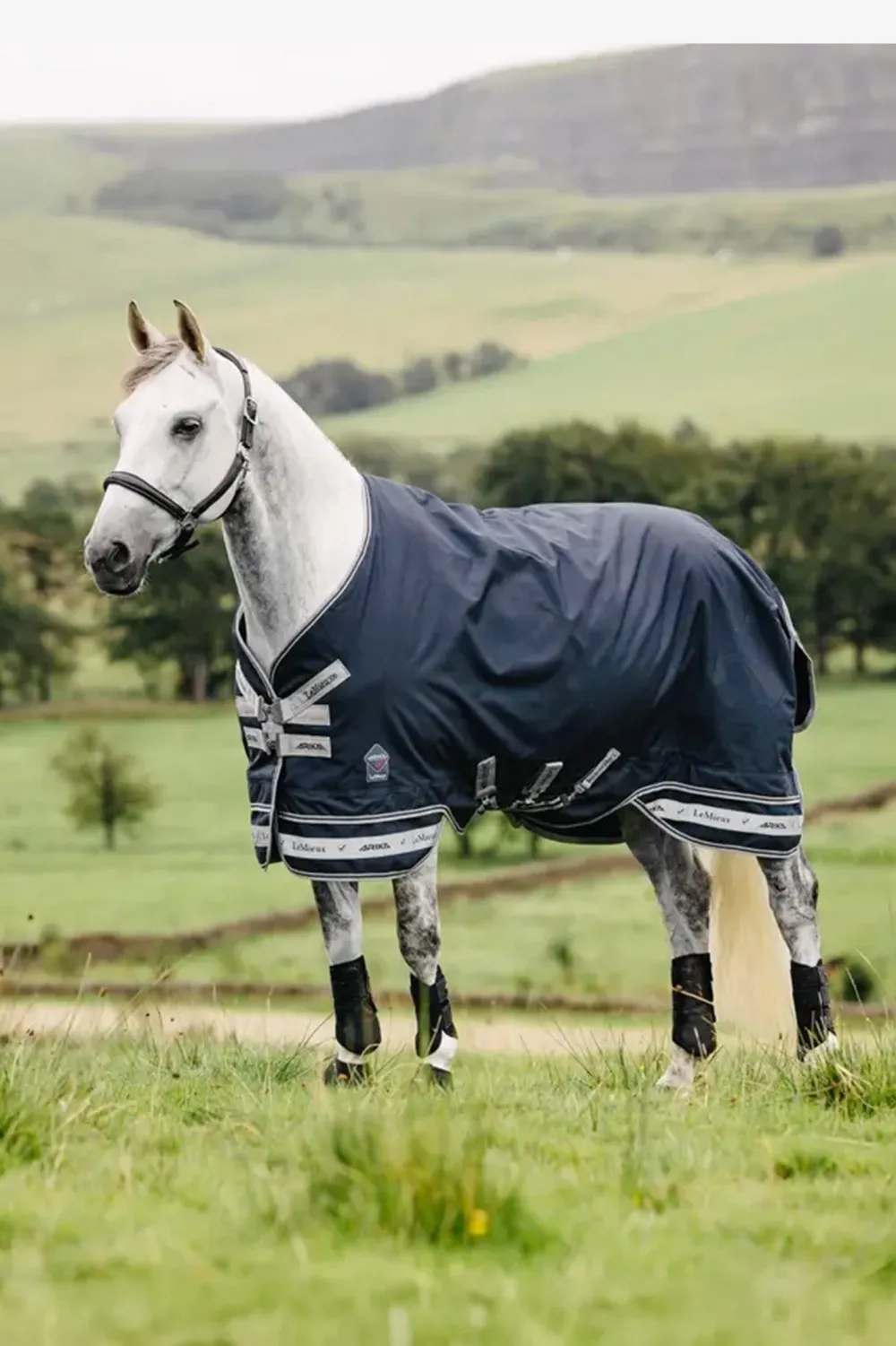 LeMieux Lemieux-Regntäcke Arika Featherweight 0g Navy