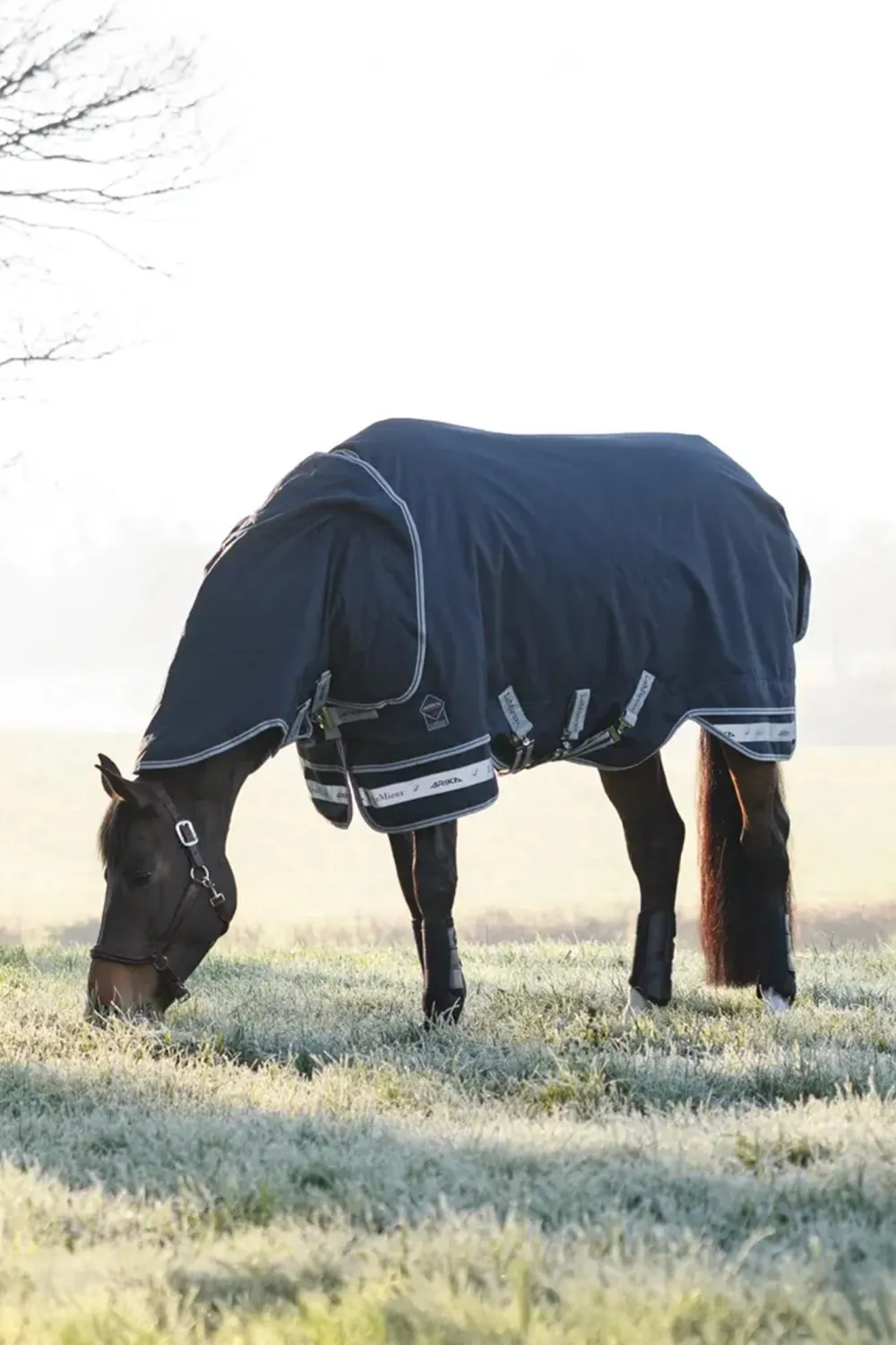 LeMieux Lemieux-Regntäcke Arika Storm-Tek 100g Navy