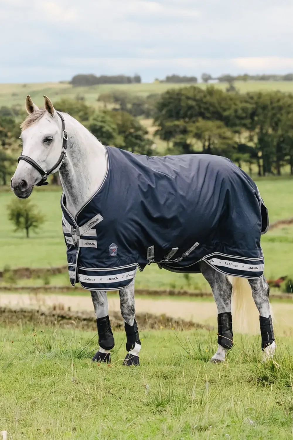 LeMieux Lemieux-Regntäcke Arika Storm-Tek 100g Navy