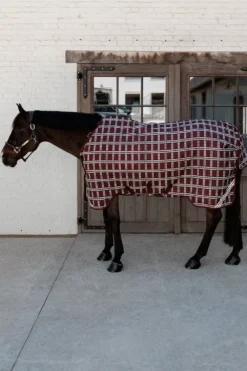 Kentucky Horsewear Hästtäcken & Flughuvor|Kentucky Horsewear-Regntäcke Comfort 0g Bordeaux/Rutig