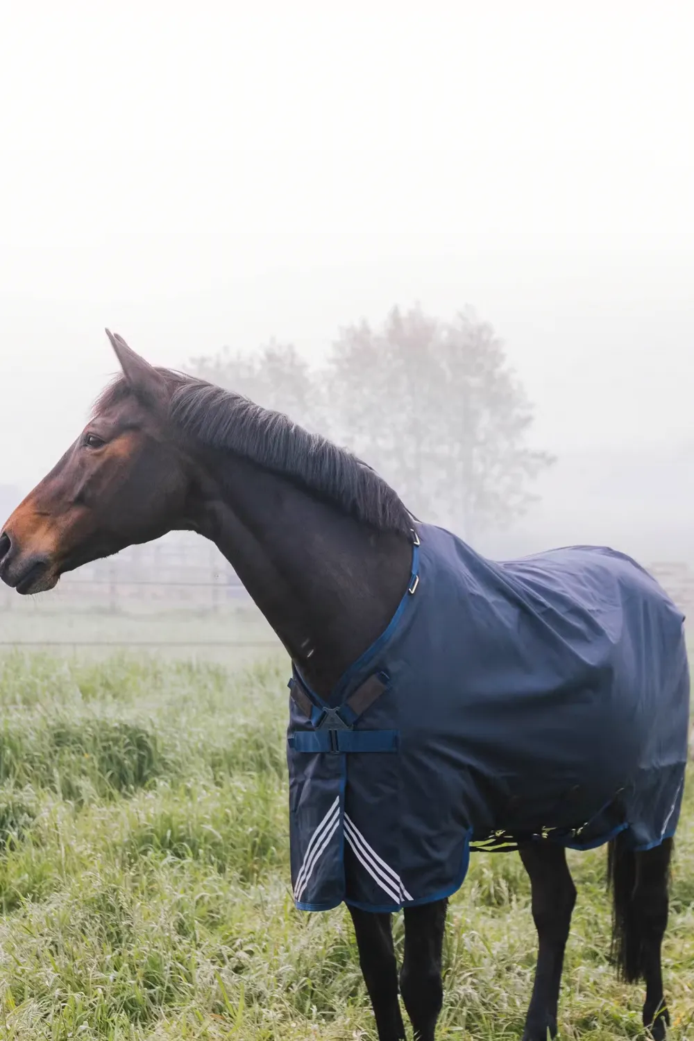 Kentucky Horsewear Hästtäcken & Flughuvor|Kentucky Horsewear-Regntäcke Comfort 0g Navy
