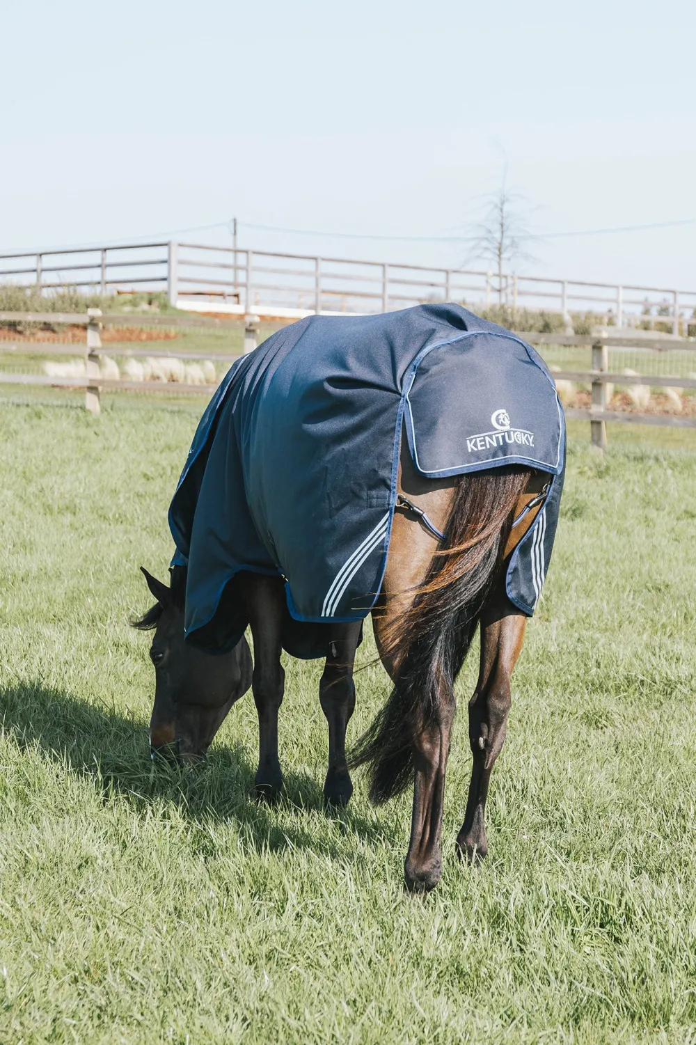 Kentucky Horsewear Hästtäcken & Flughuvor|Kentucky Horsewear-Regntäcke Comfort 0g Navy