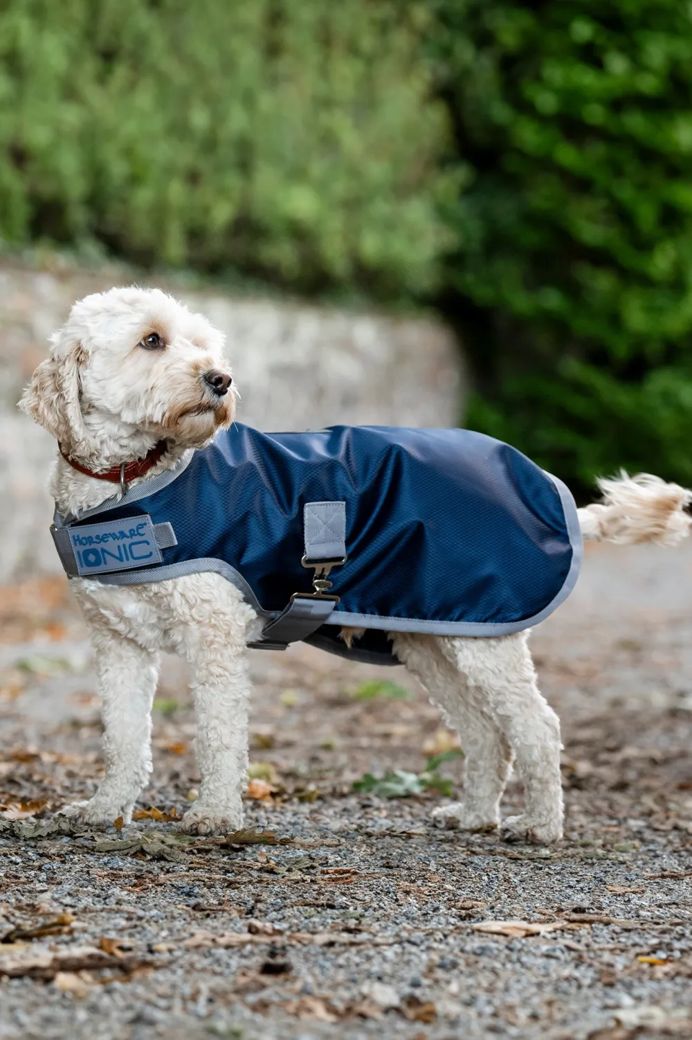Horseware Horseware-Regntäcke Hund Ionic 50g Iperia Bue/iver