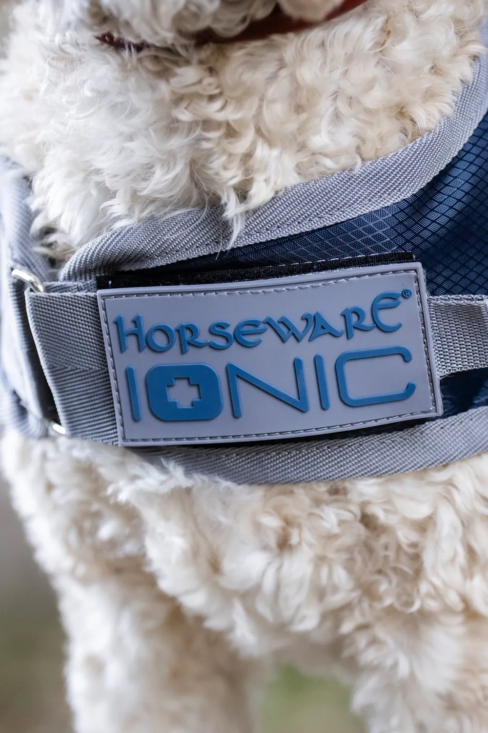 Horseware Horseware-Regntäcke Hund Ionic 50g Iperia Bue/iver