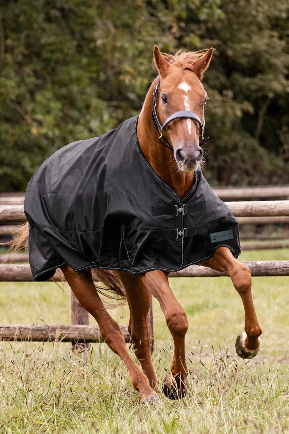 Waldhausen Hästtäcken & Flughuvor-Regntäcke Nordic Fleece Svart