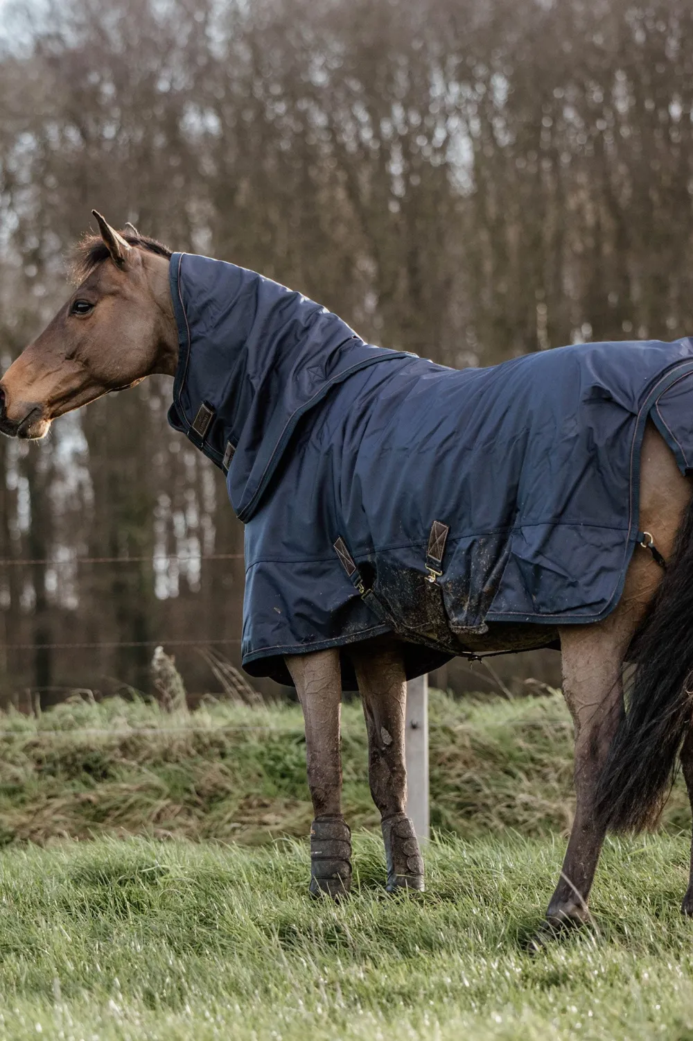 Kentucky Horsewear Hästtäcken & Flughuvor-Regntäcke Pro 0g Navy