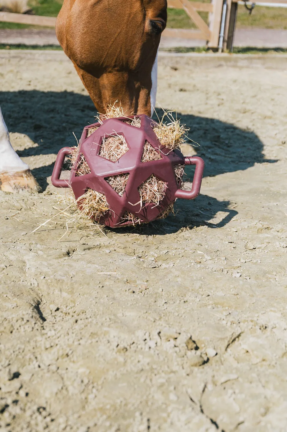 Kentucky Horsewear Kentucky Horsewear|Höpåsar & Hönät-Relax Höboll Bordeaux