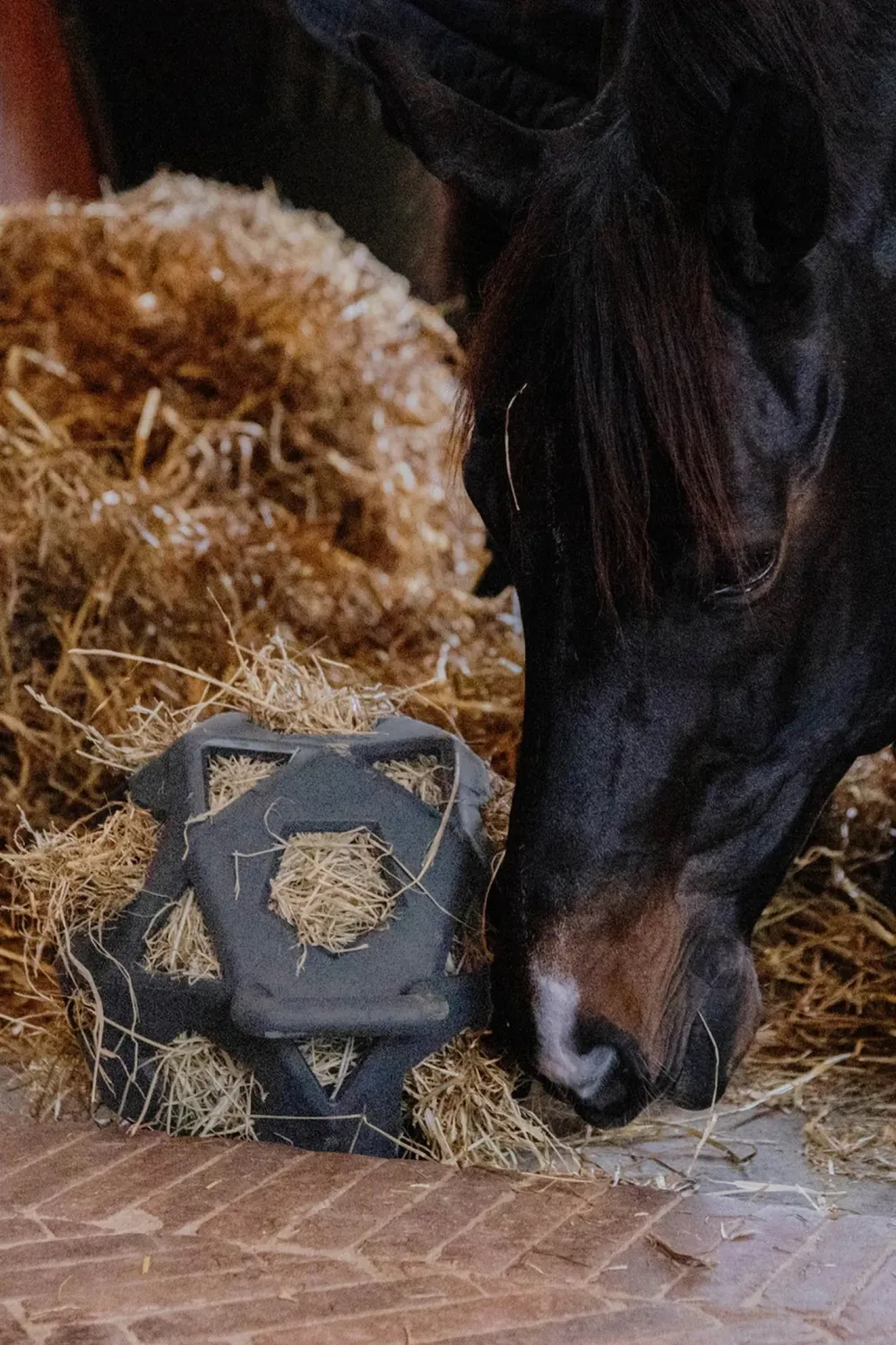 Kentucky Horsewear Kentucky Horsewear|Höpåsar & Hönät-Relax Höboll Grå
