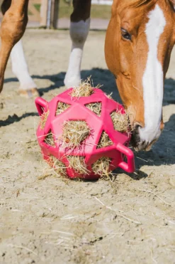 Kentucky Horsewear Kentucky Horsewear|Höpåsar & Hönät-Relax Höboll Rosa