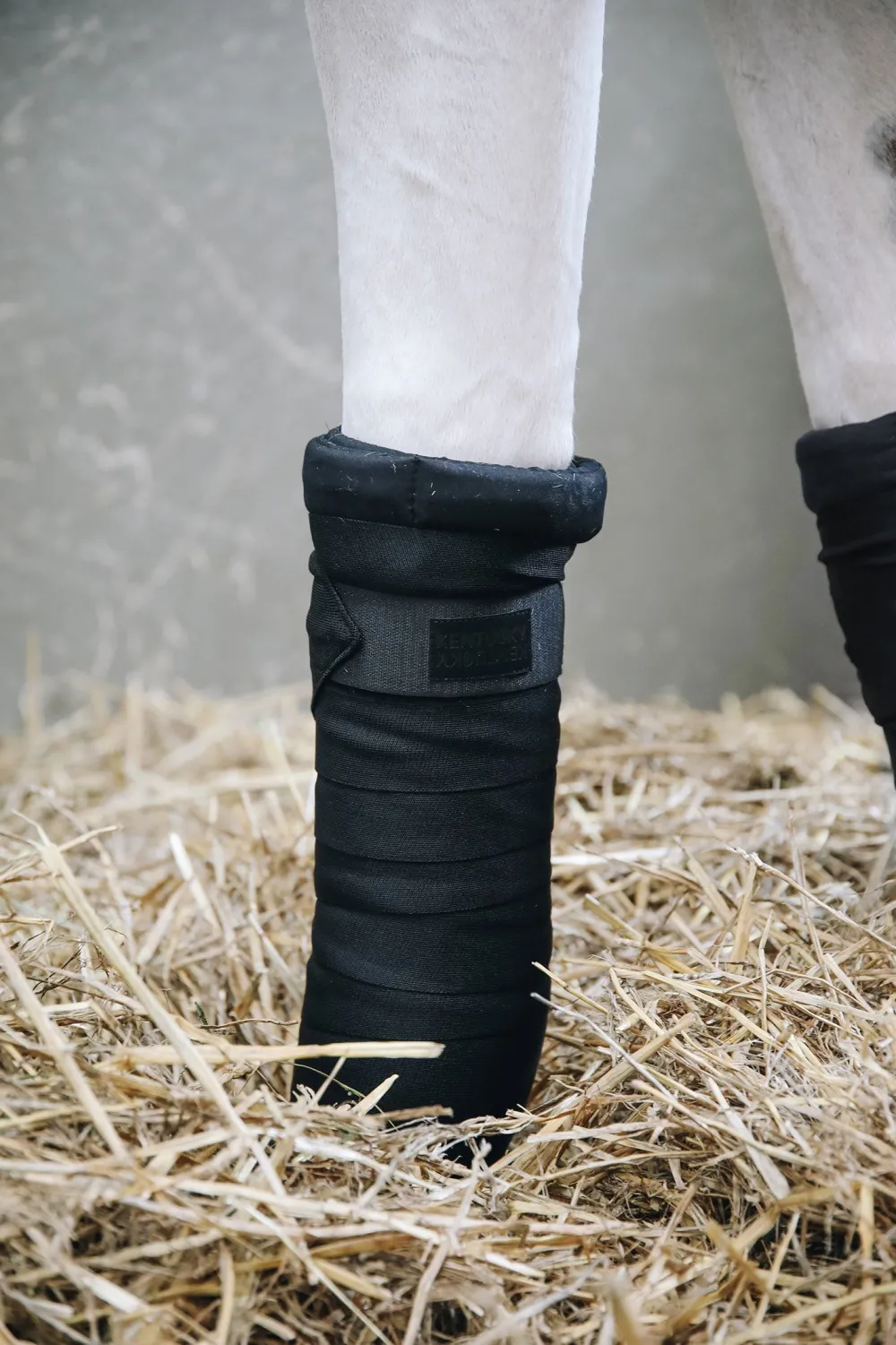 Kentucky Horsewear Benskydd & Benlindor-Repeant tabandage vart
