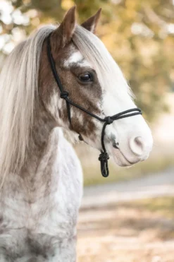 Källquist Equestrian Grimmor & Grimskaft|Källquist Equestrian-Repgrimma