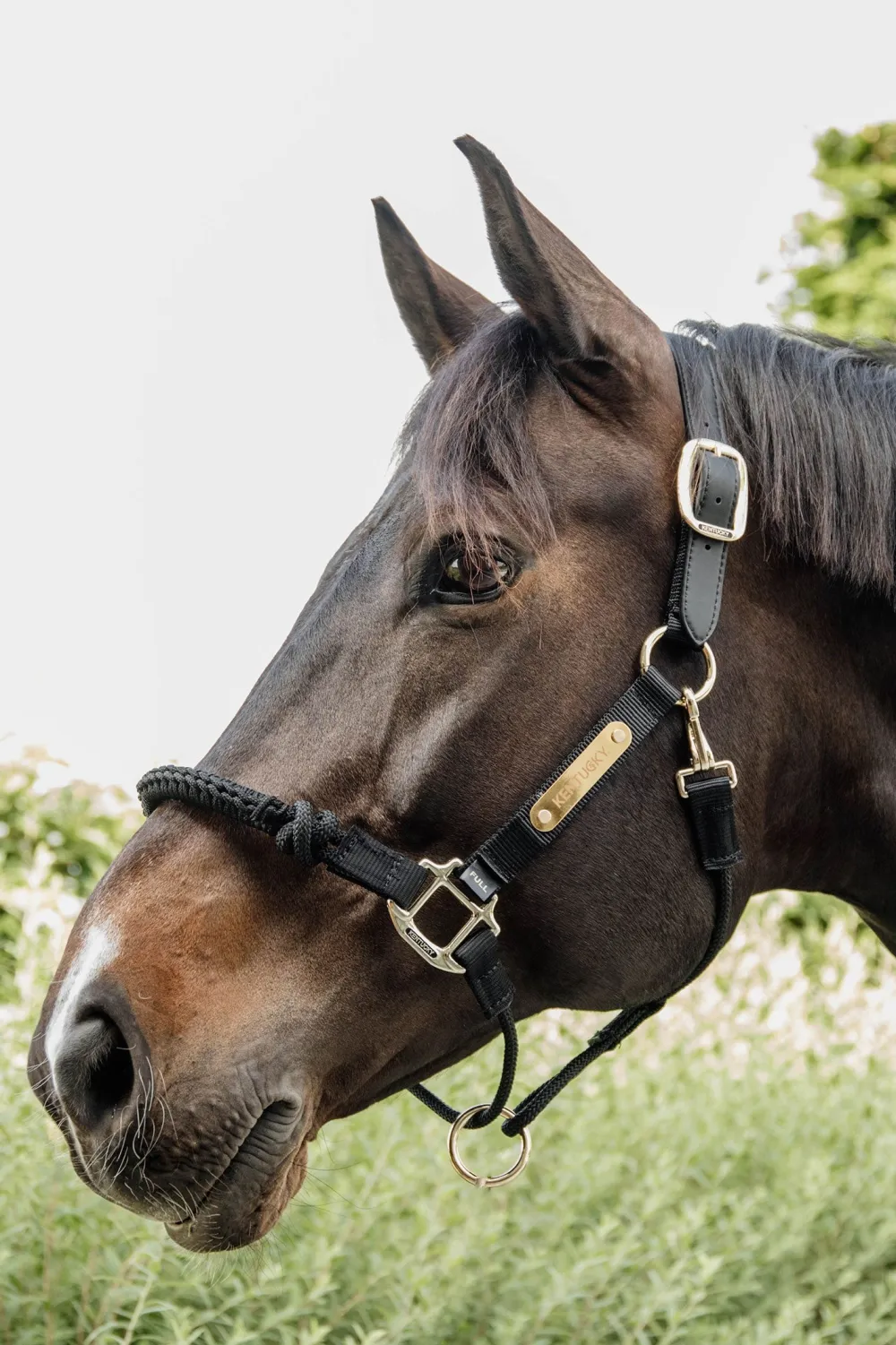Kentucky Horsewear Grimmor & Grimskaft-Reprimma Svart