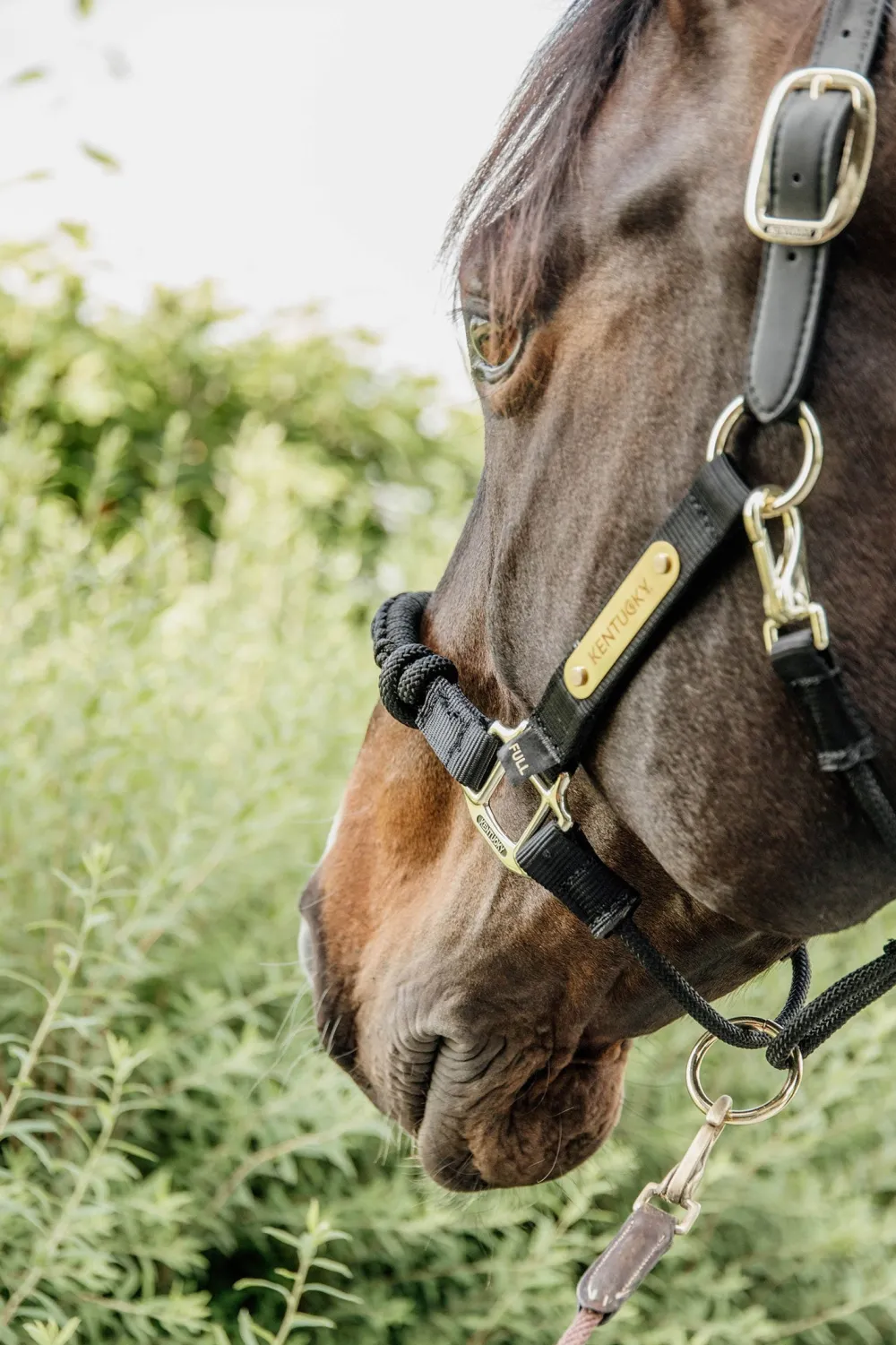 Kentucky Horsewear Grimmor & Grimskaft-Reprimma Svart