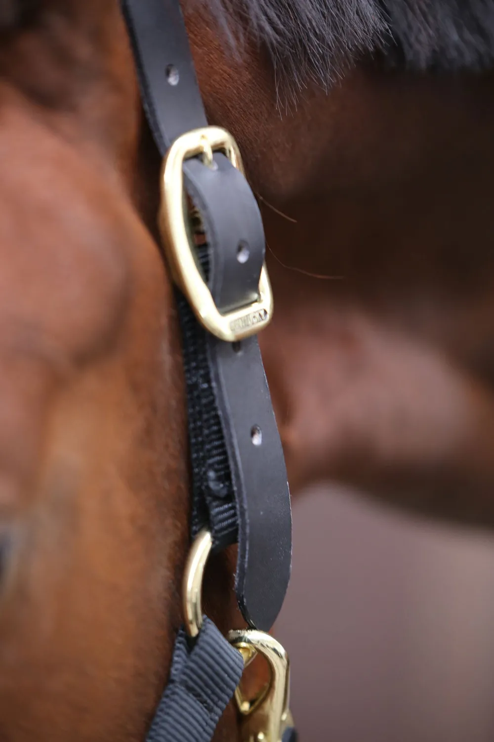 Kentucky Horsewear Grimmor & Grimskaft-Reprimma Svart