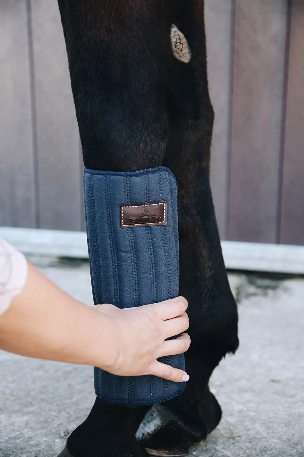 Kentucky Horsewear Benskydd & Benlindor-Ridpaddar Navy