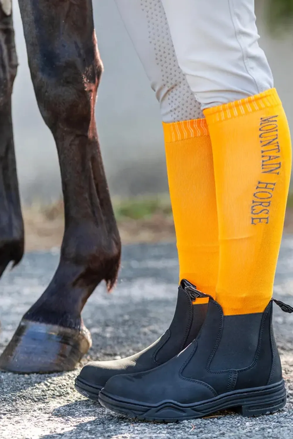 Mountain Horse Ridstrumpor-Ridstrumpor Team Spicy Orange