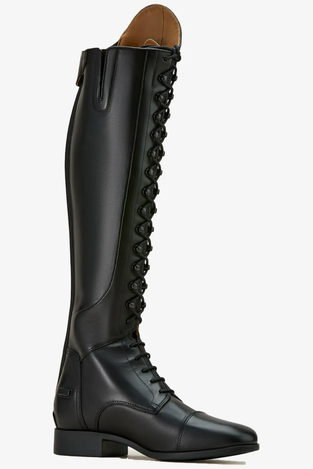 Ariat Ariat|Dressyrstövlar-Ridstövlar Palisade Snörning XS/M Svart